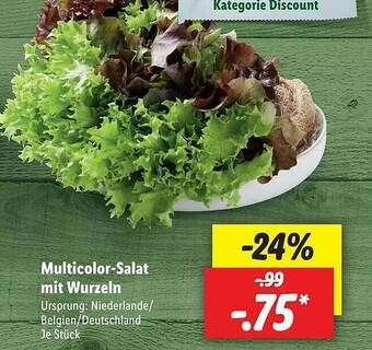 Lidl Milticolor-salat Mit Wurzeln Angebot