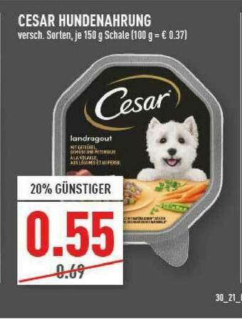 Marktkauf Cesar Hundenahrung Angebot