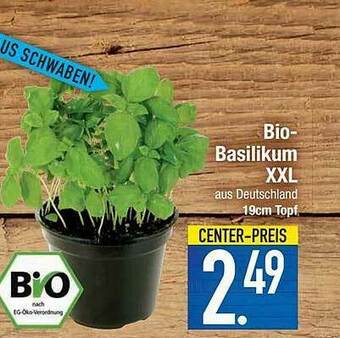 E-Center Bio-basilikum Xxl Angebot