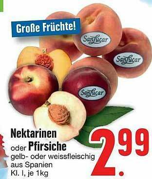 Edeka Nektarinen Oder Pfirsiche Angebot