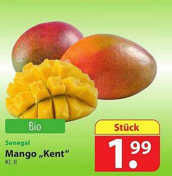 Famila Nord Ost Mango „kent” Angebot