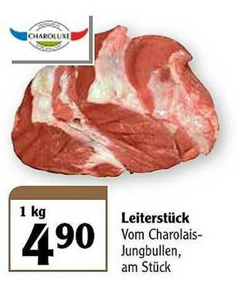 Globus Leiterstück Angebot