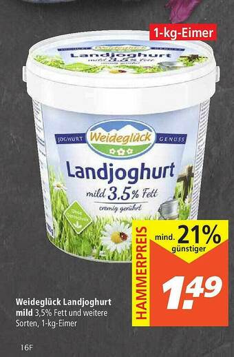 Marktkauf Wiedeglück Landjoghurt Mild Angebot