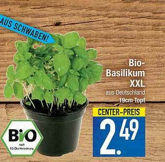 Marktkauf Bio-basilikum Xxl Angebot