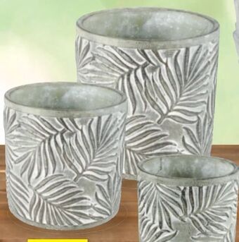 Thomas Philipps Blumentopf Angebot