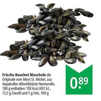 Marktkauf Frische Bouchot Muscheln Angebot