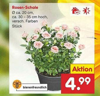 Netto Marken-Discount Rosen-schale Angebot