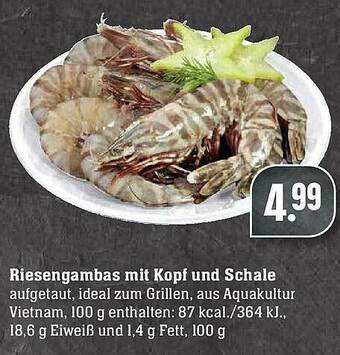 Scheck-in-Center Riesengambas Mit Kopf Und Schale Angebot