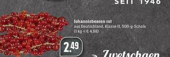 Scheck-in-Center Johannisbeeren Rot Angebot