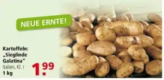 Multi Markt Kartoffeln ,,Sieglinde Galatina" 1kg Angebot