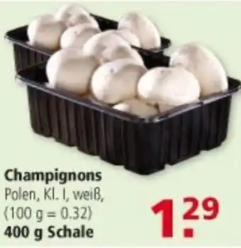 Multi Markt Champignons 400g Angebot