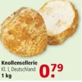 Multi Markt Knollensellerie 1kg Angebot