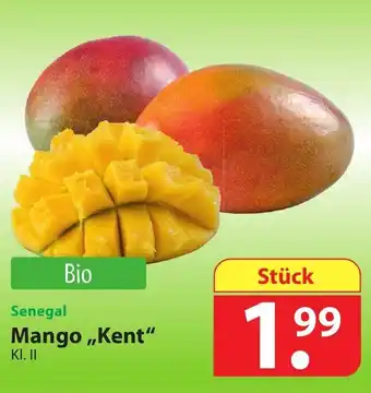 Famila Nord Ost Senegal Mango ,,Kent" Angebot