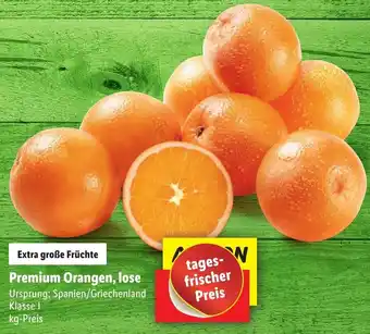 Lidl Premium Orangen, lose Angebot