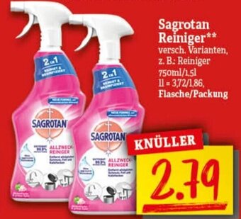 nah & gut Sagrotan Reiniger Angebot