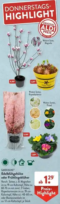 Aldi Süd Gardenline Edelblühgehölze oder Frühlingsblüher Angebot