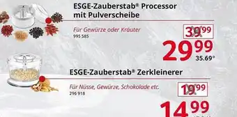 Selgros Esge-zauberstab processor mit pulverscheibe oder zerkleinerer Angebot