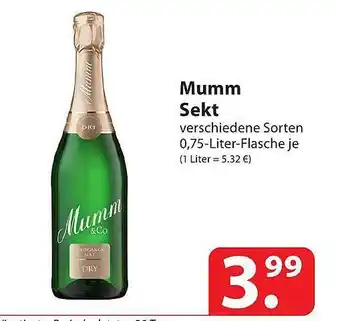 Famila Nord Ost Mumm sekt Angebot