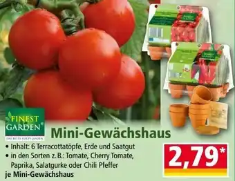 Norma Finest Garden Mini Gewächshaus Angebot