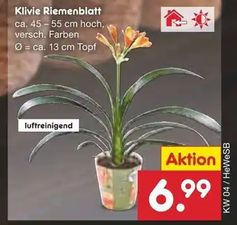 Netto Marken-Discount Klivie Riemenblatt Angebot