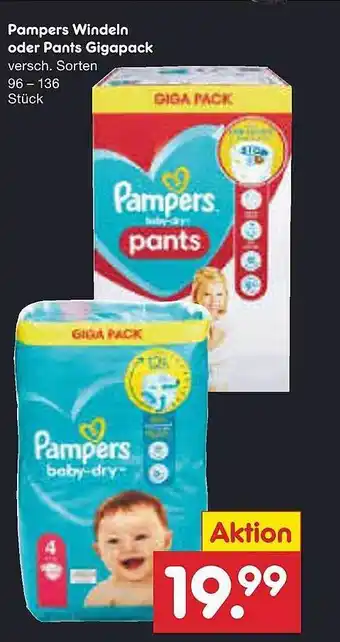 Netto Marken-Discount Pampers windeln oder pants gigapack Angebot