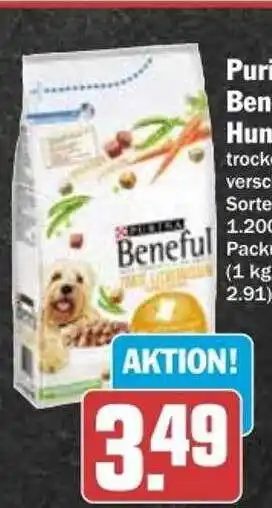 dodenhof Purina beneful hundefutter Angebot