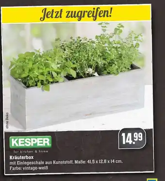 SBK Kesper Kräuterbox Angebot