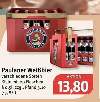 Feneberg Paulaner weißbier Angebot