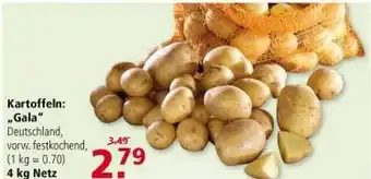 Multi Markt Kartoffeln: „gala“ Angebot