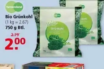 Multi Markt Bio grünkohl Angebot