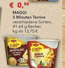 Wasgau Maggi 5 minuten terrine Angebot