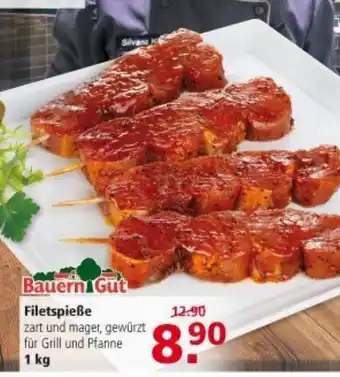 Multi Markt Bauern Gut Filetspieße 1kg Angebot