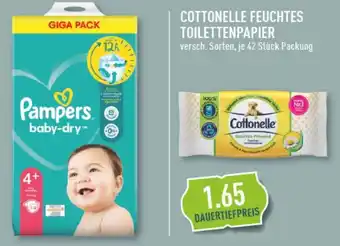 Marktkauf Pampers Cottonelle Feuchtes Toilettenpapier 42 Stück Packung Angebot