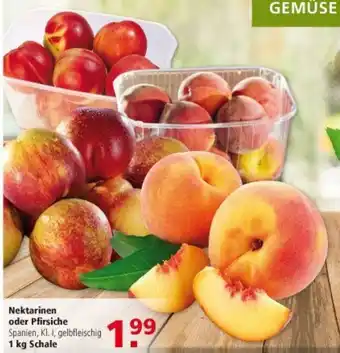 Multi Markt Nektarinen oder Pfirsiche 1kg Angebot