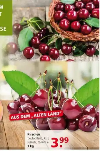 Multi Markt Kirschen 1kg Angebot