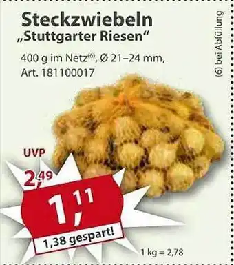 Sonderpreis Baumarkt Steckzwiebeln „stuttgarter riesen“ Angebot