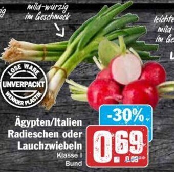 Hit Ägypten/Italien Radieschen oder Lauchzwiebeln Angebot