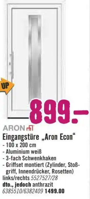 Hornbach Eingangstüre Aron Econ Angebot