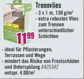 Hornbach Trennvlies Angebot