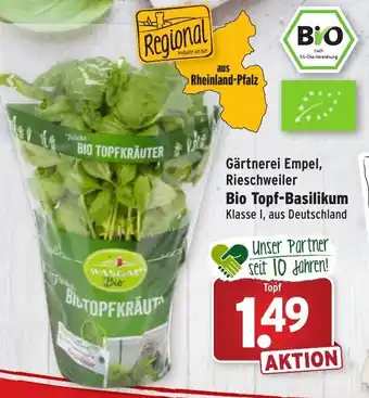 Wasgau Bio Topf Basilikum Angebot