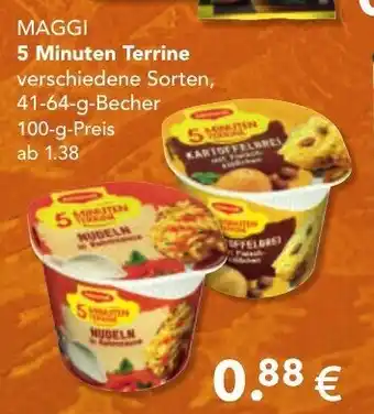 Wasgau Maggi 5 Minuten Terrine 41-64g Becher Angebot