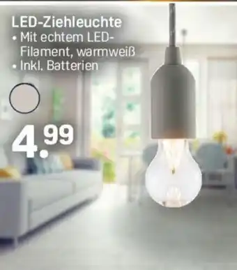 Rossmann LED Ziehleuchte Angebot