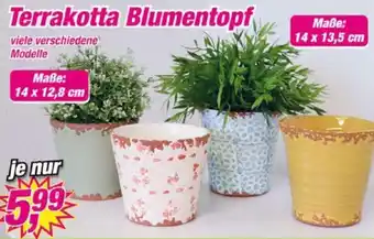 Posten Börse Terrakotta Blumentopf Angebot