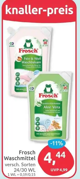 Budni Frosch Waschmittel 24/30 WL Angebot