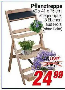 CENTERSHOP Pflanztreppe Angebot