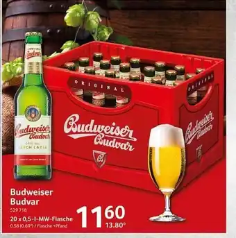 Selgros Budweiser budvar Angebot