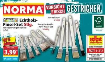 Norma Powertec Garden Echtholz-pinsel-set Angebot