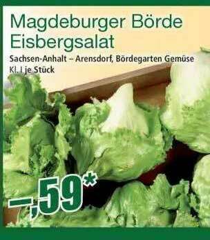 Norma Magdeburger Börde Eisbergsalat Angebot