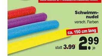 Repo Markt Schwimmnudel Angebot