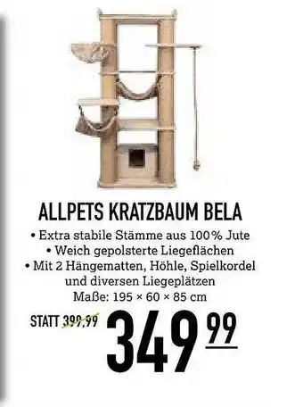 Kölle Zoo Allpetz kratzbaum bela Angebot